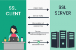 SSL Certificates – Secure Your Website