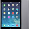 Apple iPad mini 2 Teknik Özellikleri