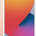 Apple iPad 10.2 (2020) Teknik Özellikleri