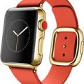 Apple Watch Edition 38mm (1. nesil) Teknik Özellikleri