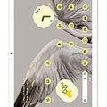Google Pixel Tablet Teknik Özellikleri