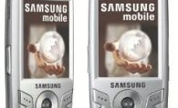 Samsung E890 Teknik Özellikler