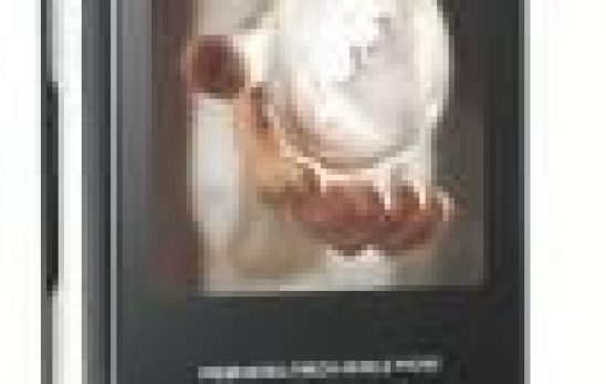 Samsung F500 Teknik Özellikler