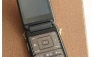 Samsung SCH-W699 Teknik Özellikler