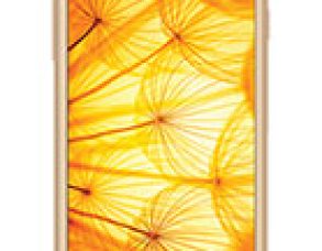 Intex Aqua Xtreme II Teknik Özellikleri